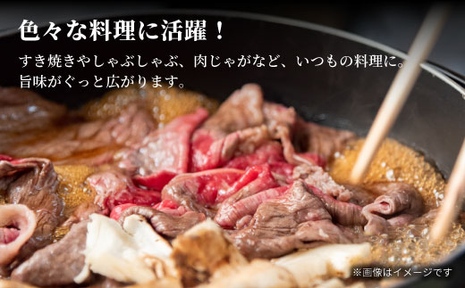 飛騨牛 4等級以上 切り落とし 560g 牛肉 和牛 肉 切落し ブランド牛 4等級 5等級 国産 切落とし 切り落し 切落し 人気 おすすめ 薄切り 岐阜 東白川村 すき焼き お取り寄せ 中濃ミート
