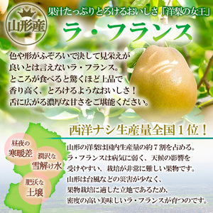 山形県産 ラ・フランス 秀品 約3kg(6～12玉) FY24-027