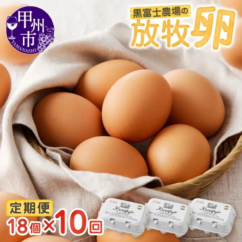 甲州放牧卵の定期便 18個×10回　F-503【卵 たまご 放牧卵 定期便】