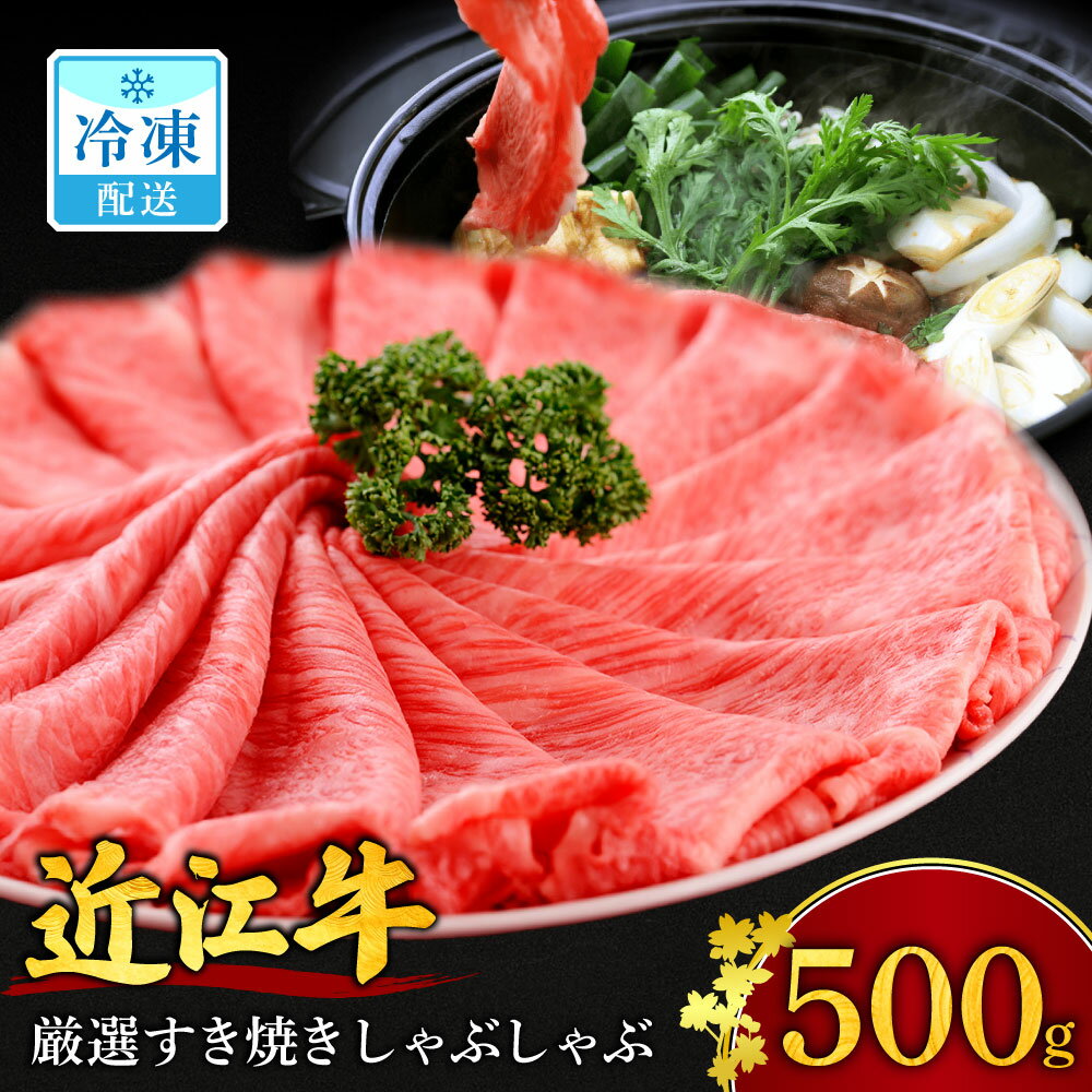 【ふるさと納税】【 最高級 近江牛 】厳選 すき焼き ・ しゃぶしゃぶ 用 500g 2人～3人前 ブランド牛 牛肉 高級 人気 国産 楽天 寄付 返礼品 お歳暮 ギフト プレゼント お祝い 贈り物 ふるさと納税 近江 東近江 F19 安田牧場