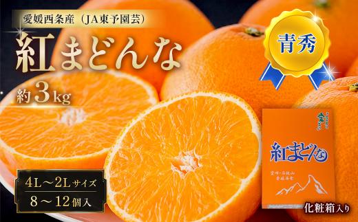 紅まどんな 青秀 3kg 8～12個入 （4L～2Lサイズ） 愛媛県西条市 （JA東予園芸）【先行予約】 【11月下旬～12月発送】｜ 紅まどんな 愛媛 青秀 マドンナ みかん 果物 フルーツ ジューシー 甘い 高級 おすすめ 人気 お取り寄せ 愛媛県産 西条市産