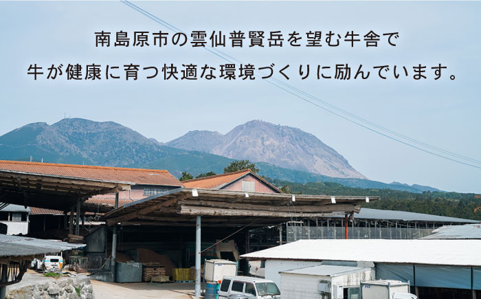 【6回定期便】長崎県産 和牛 肩ロース スライス 500g / すき焼き / しゃぶしゃぶ / 南島原市 / 高田牧場 [SDB009]