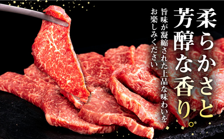 【全2回定期便】 壱岐牛 焼肉用 モモ 500g《壱岐市》【株式会社イチヤマ】 肉 牛肉 焼肉 もも BBQ[JFE124]