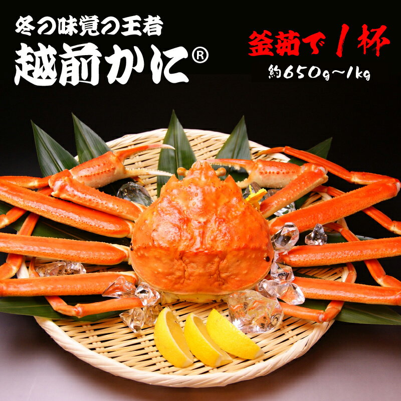 【ふるさと納税】【内容量・発送時期が選べる】越前かに(R) 釜ゆで 約650〜1kg 1杯 ※12/20～1/15発送不可「越前かに」の名づけ親 相木魚問屋が贈る越前の冬の味覚　【魚介類・蟹・カニ】