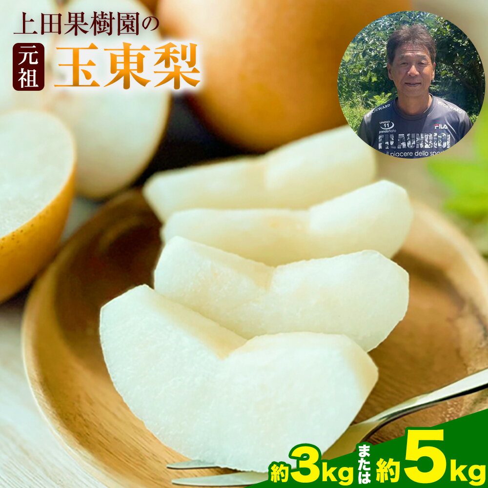 【ふるさと納税】梨 なし フルーツ 旬の梨 上田果樹園の元祖！玉東梨(旬の品種をお届けします) 選べる 約3kg 約5kg 熊本県玉名郡玉東町 なし 果物 スイーツ デザート 《7月下旬-9月下旬頃出荷》