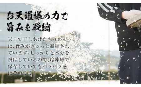 網元の天日干しちりめん約400g ちりめん50g×8袋の小分けタイプ 漁師直送の鹿児島県産ちりめん【A-1505H】