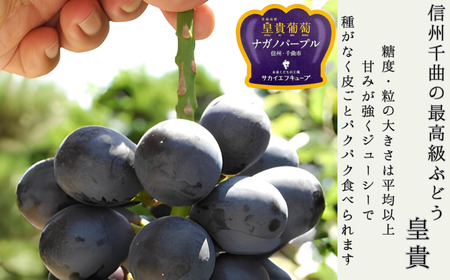 【2025年先行予約】ぶどう ナガノパープル 特秀品 加湿ハウス栽培 2房 ｜ ぶどう ぶどう ぶどう ぶどう ぶどう