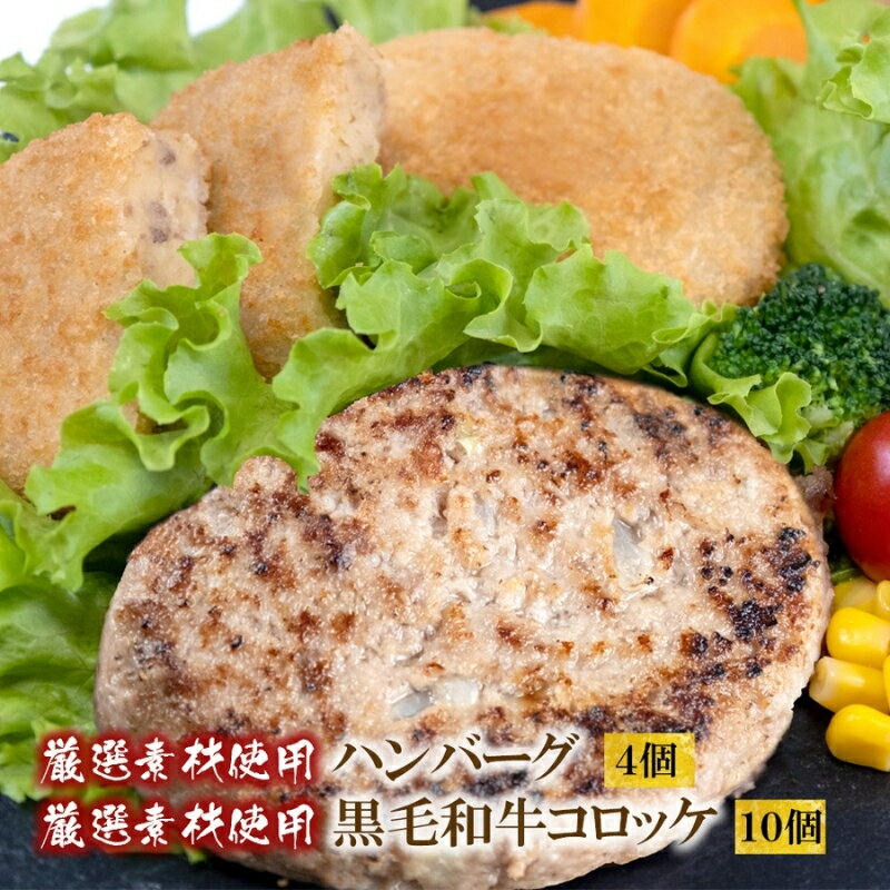【ふるさと納税】 厳選 素材使用 黒毛和牛 コロッケ ＋厳選素材使用 ハンバーグ セット / 肉 揚げ物 おかず 人気 定番 セット 冷凍 小分け