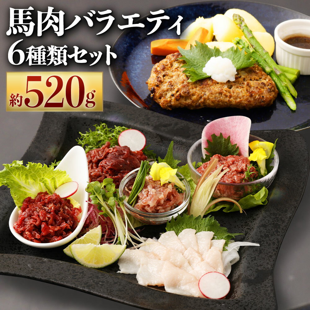 【ふるさと納税】6種馬肉バラエティ 約520g (赤身切落し・コウネ・フタエゴダイス・線切りユッケ・桜うまトロ・馬肉ハンバーグ・タレ・おろしポン酢・ユッケのタレ・万能和風ソース) 馬刺し 熊本馬刺し 菅乃屋ミート 食べ比べ 小分け 冷凍 送料無料