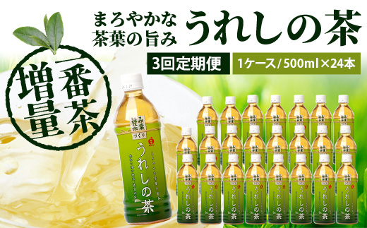 工場直送！うれしの茶 500ml×24本入 《3回 定期便》箱買い セット お茶 飲料 緑茶 飲み切りサイズ うれしの 嬉野茶 ペットボトル 24本入り 500ml ストック ギフト 贈り物 贈答 お