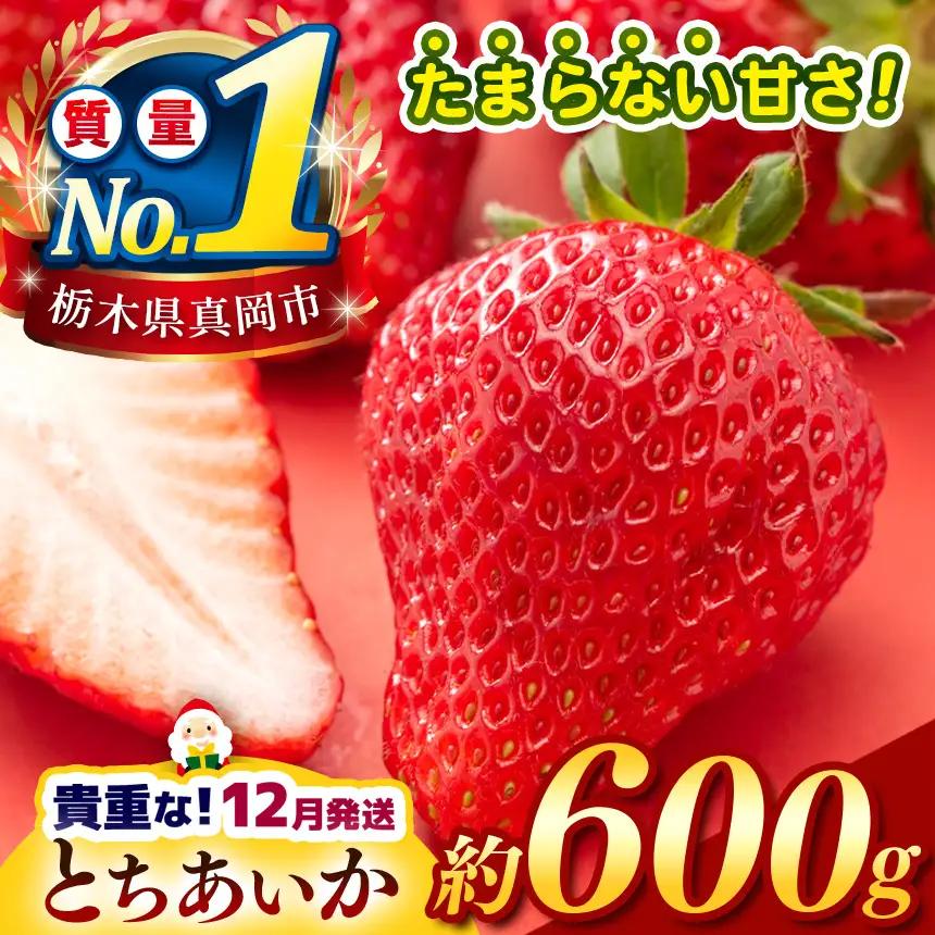 【2026年12月発送】【先行予約】 栃木のこでらんないイチゴ（とちあいか） 約600g