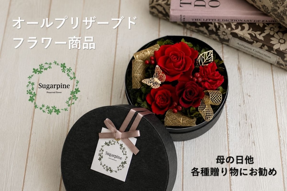プリザーブドフラワー【アムール/レッド】【埼玉県 春日部市 シュガーパイン 赤バラ 誕生日 結婚祝い 記念日 フラワーギフト】(AJ018-1)