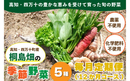 【栽培期間中、農薬・化学肥料不使用】桐島畑の季節野菜詰め合わせ(5種類)(定期便12か月コース)　Rfkh-A02 ／ やさい 国産野菜 四万十 高知 季節 フレッシュ 旬 無農薬 有機農業 野菜セッ
