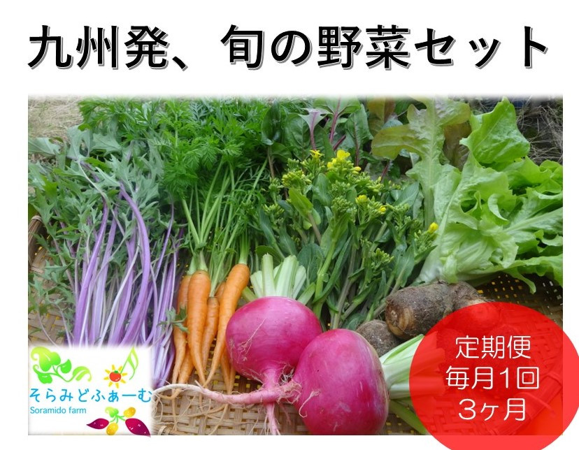 
【定期便３回】とれたてお野菜8品詰め合わせ
