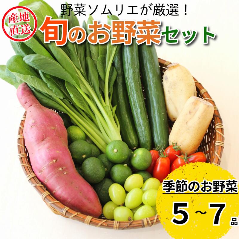 【ふるさと納税】 野菜5～7種セット 旬 エシカル 身体に優しい 野菜 おまかせ 新鮮 採れたて 産地直送 やさい とうもろこし トマト 減農薬 きのこ オクラ 玉ねぎ 美味しい 小松島市