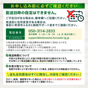 【先行予約】養液栽培メロン「璻」1玉【Special】（重さ1.7㎏以上）｜メロン めろん フルーツ 常滑市