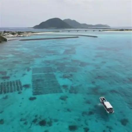 塩蔵もずく 5.0kg【配送不可地域：離島】【1544693】