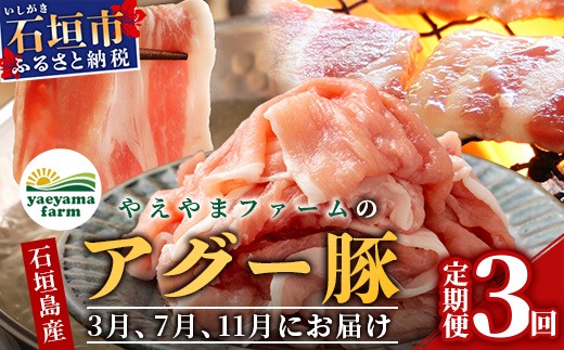 石垣島産 やえやまファームのアグー豚の定期便（3月、7月、11月お届け）【 南ぬ豚 アグー豚 焼肉 食べ比べ 豚肉 石垣 石垣島 沖縄 八重山 やえやまファーム 】 E-30-1