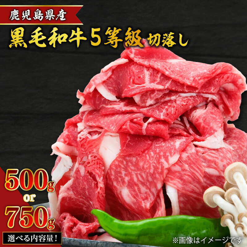 【ふるさと納税】鹿児島県産 黒毛和牛 5等級 切落し 【内容量が選べる】 500g ～ 750g 送料無料 肉質 等級 5等級 お肉 肉 牛 和牛 ビーフ 国産 国産牛 小分け ウデ モモ 肩バラ 贅沢 おすすめ 人気 選べる 鹿児島市 土産 贈り物 プレゼント ギフト 贈答