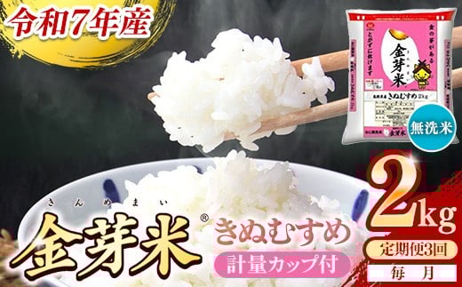 【定期便】BG無洗米・金芽米きぬむすめ 2kg×3ヵ月 （毎月）計量カップ付き【令和7年産 3ヶ月 計6kg 東洋ライス 健康 島根県 安来市】【価格改定X】【24-SS-58】