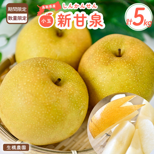 鳥取県だけで作られている幻の梨 新甘泉 【鳥取県産】（小玉）５kg（生橋農園） 梨 果物 フルーツ