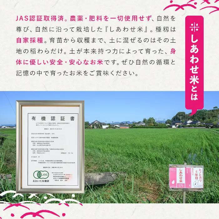 ＜先行予約受付中！2026年11月上旬以降順次発送予定＞＜令和8年産＞しあわせ米 精米(計5kg) お米 白米 5キロ 常温 常温保存 【101000502】【宇佐本百姓】