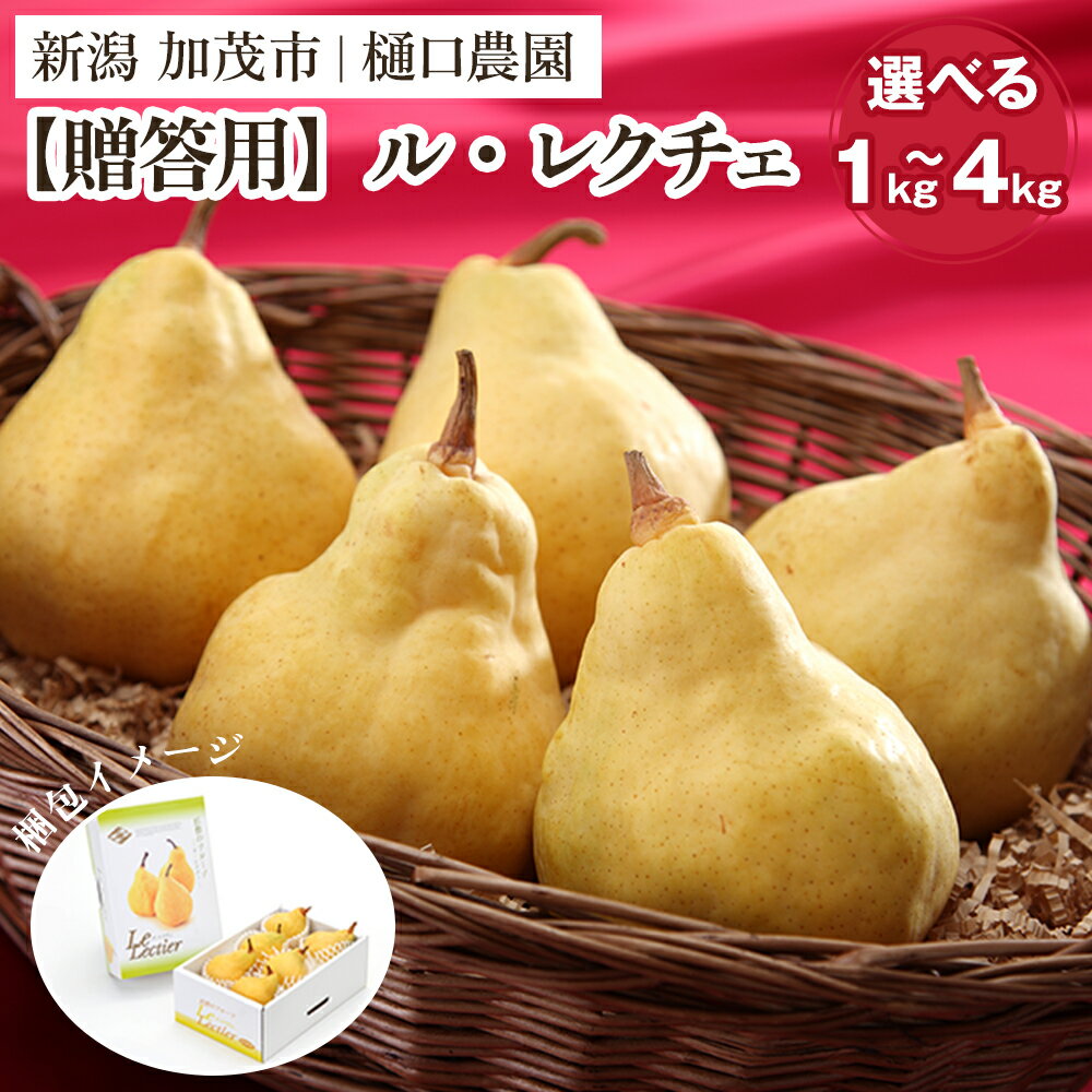 【ふるさと納税】【贈答用】西洋梨 ル・レクチェ 選べる「1kg」or「2kg」or「3kg」or「4kg」《11月下旬から順次発送》果物 梨 洋梨 西洋梨 フルーツ 冬の味覚 デザート 産地直送 加茂市 樋口農園
