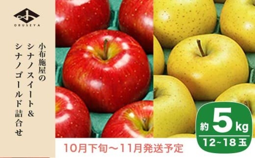 
                  長野県りんごの味比べ 約5kg 12～18玉 シナノスイート シナノゴールド ［小布施屋］ りんご 林檎 リンゴ  果物 フルーツ 令和8年産【2026年10月下旬～11月発送】 ［A-501］
                