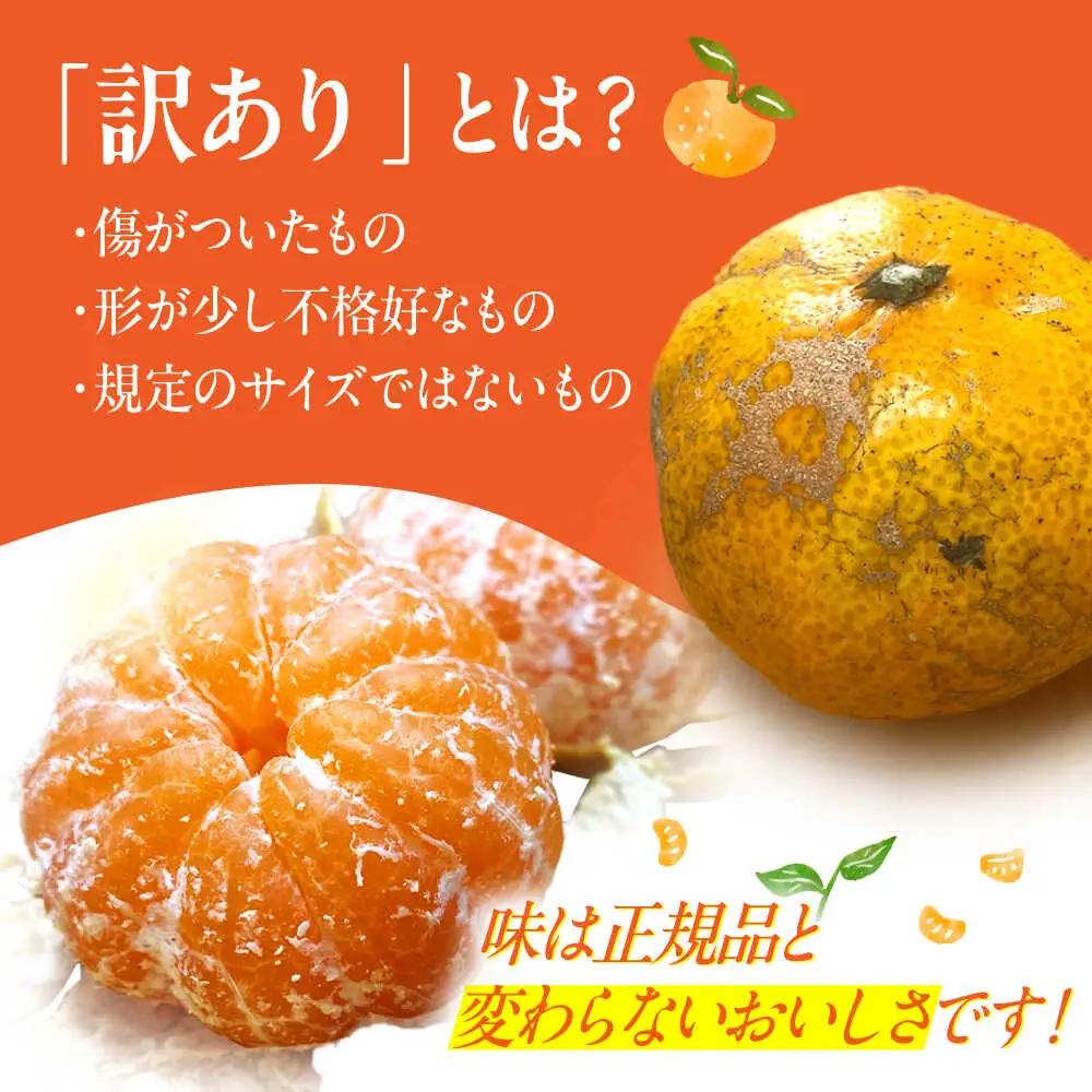 訳ありみかん 5kg 原口みかん[OBP002] 訳あり みかん