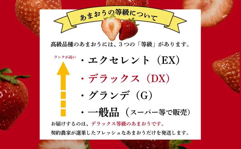 【2027年2月上旬‐3月上旬発送】先行予約 福岡県産 いちご あまおう  約250g×6P (約1500g) ｜苺 イチゴ KBY