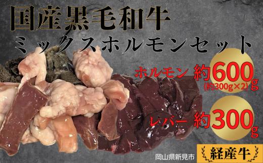 国産 黒毛和牛 いろり牛 経産牛 牛肉ミックスホルモンセット(ホルモン約600g＋レバー約300g)
