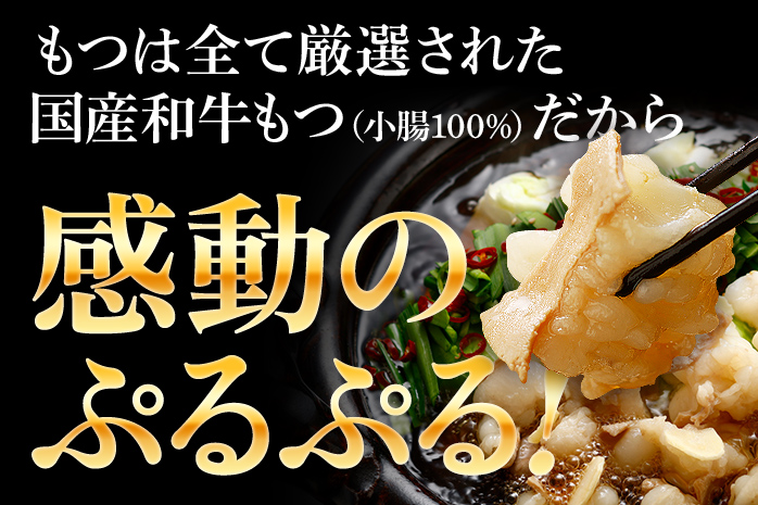 訳あり もつ鍋 醤油味 15人前 醤油 醤油味 国産牛小腸 国産もつ モツ 鍋 お土産 美味しい 豪華 贅沢 福岡県 福岡 九州 グルメ お取り寄せ