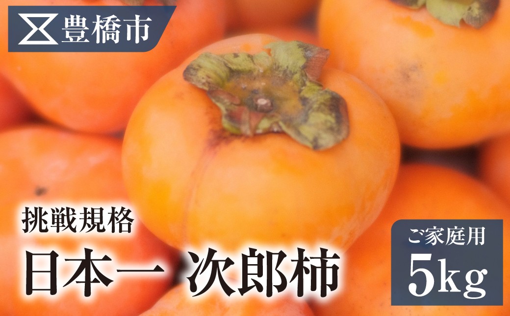 
                  《先行予約》 次郎柿 家庭用 大一青果 豊橋市産 ご家庭用 5kg 産地直送 かき くだもの 果物 フルーツ 愛知県 次郎柿 家庭用 次郎柿 家庭用 次郎柿 家庭用 次郎柿 家庭用 次郎柿 家庭用 次郎柿 家庭用 次郎柿 家庭用 次郎柿 家庭用 次郎柿 家庭用 柿 5kg 柿 5kg 次郎柿 5kg 次郎柿 5kg ご家庭用 ご家庭用 自宅用 自宅用 5kg 5kg 柿 5kg 次郎柿 5kg
                