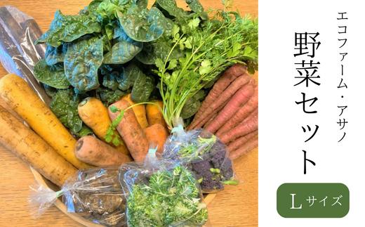 【 Lサイズ 】 有名シェフ御用達 ◆ エコファーム・アサノの 野菜セット 詰合せ 野菜詰め合わせ 新鮮 産地直送