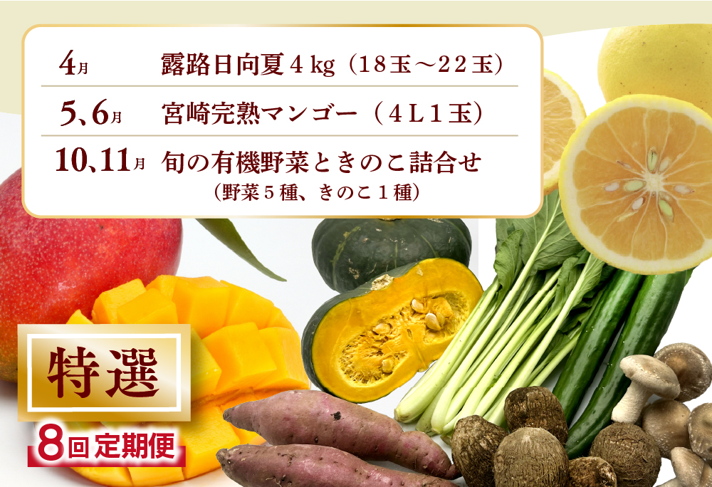 【全8回お届け】特選！！宮崎県綾町産 果物・野菜定期便 [Y20] 全8回定期便