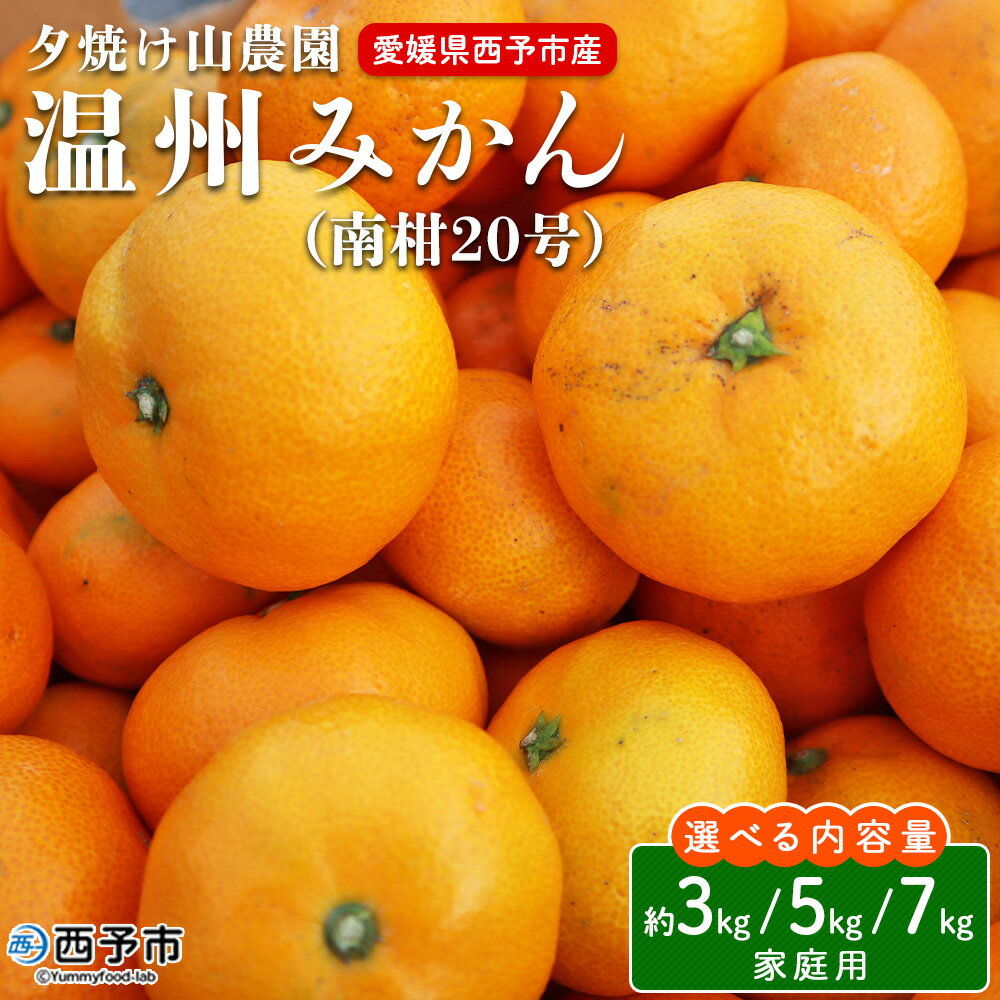 【ふるさと納税】＜夕焼け山農園 愛媛県西予市産 温州みかん 家庭用 約3kg／5kg／7kg（南柑20号）＞果物 フルーツ ミカン 蜜柑 柑橘 なんかん 訳あり うんしゅうみかん ウンシュウ 特産品 愛媛県 西予市 【常温】『2025年12月上旬～12月下旬迄に順次出荷予定』