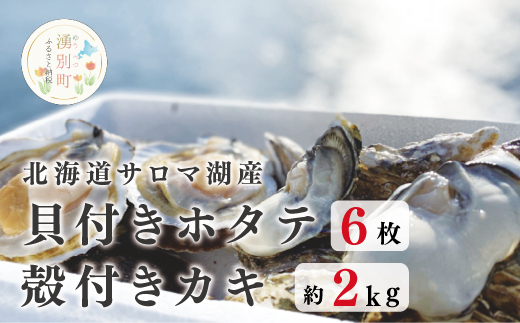 【国内消費拡大求む】<先行予約2024年11月から発送>北海道サロマ湖産　貝付きホタテ6枚・カキ約2kg