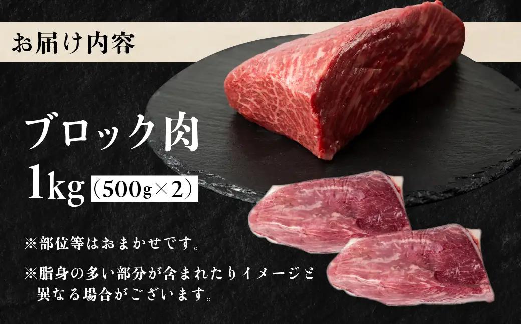 飛騨牛 ブロック 肉 1kg 肉