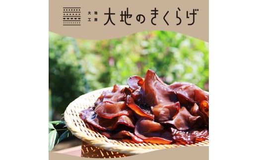 きくらげ キクラゲ 木耳 乾燥きくらげ 大地のきくらげ 国産きくらげ