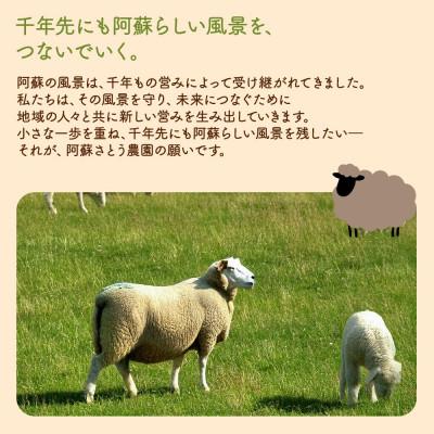 ふるさと納税 阿蘇市 阿蘇地域で生産した貴重な国産羊肉のジンギスカン 600g(300g×2パック) |  | 03