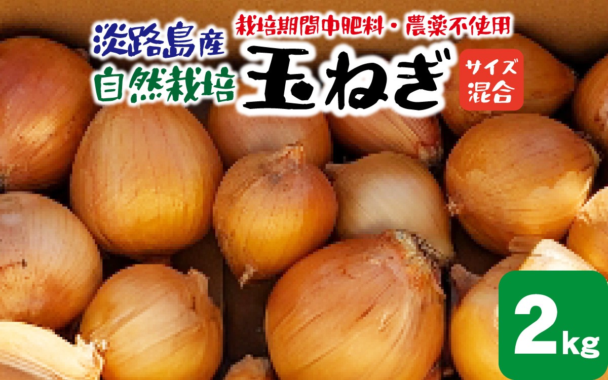 
                  淡路島産 栽培期間中肥料・農薬不使用 自然栽培玉ねぎ 2kg  ／ 野菜 自然栽培 農薬不使用 ブランド タマネギ オニオン スライス サラダ 肉じゃが 常備菜 スープ 味噌汁 兵庫県 淡路市 サイズ混合
                