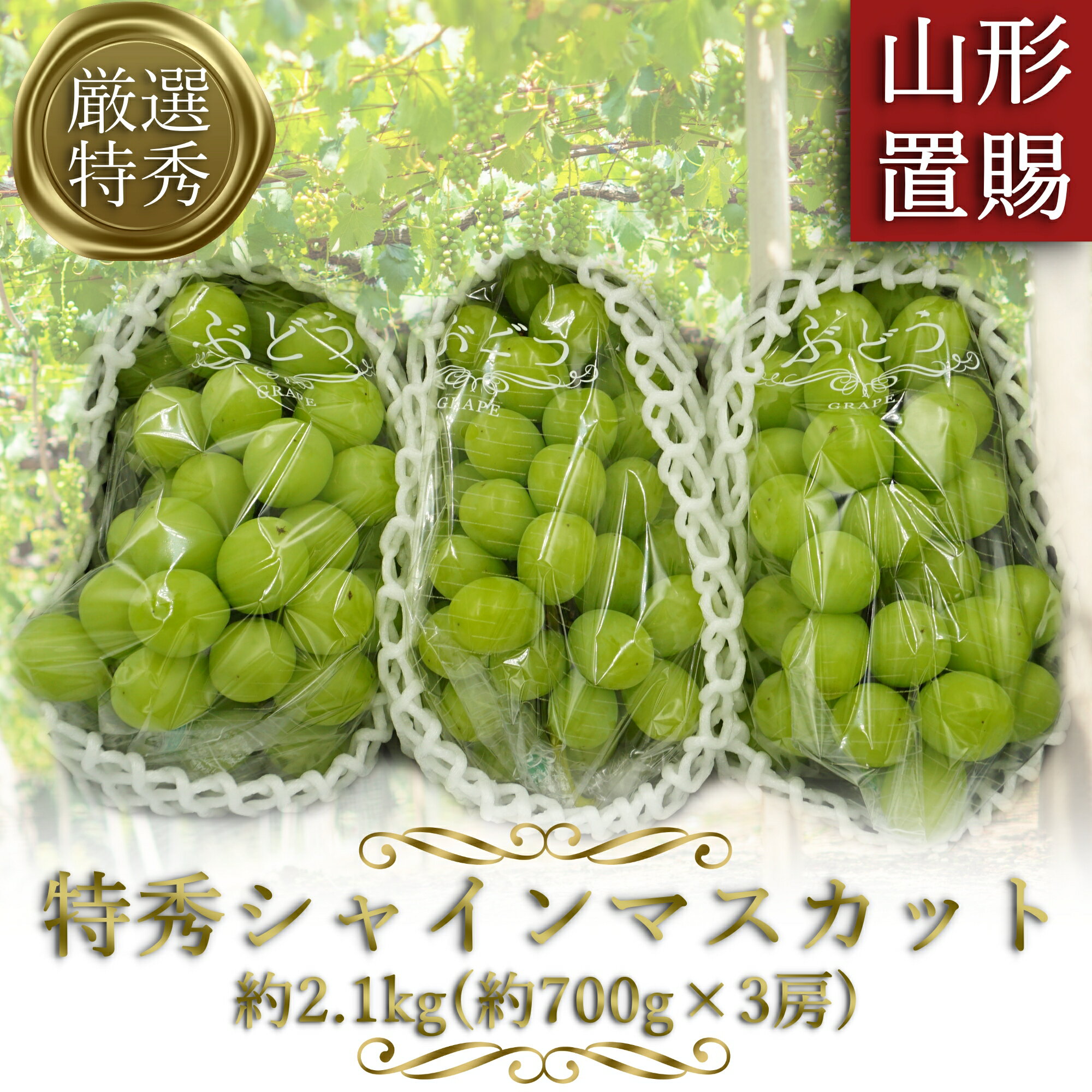 【ふるさと納税】＼アフター保証対象品／ 高評価★5 山形 の シャインマスカット 厳選「特秀」 約2.1kg （700g×3房) 大粒 化粧箱入り ギフト にもぴったり 【2025年9月〜10月発送分先行受付】 令和7年 2025 H066(R7)