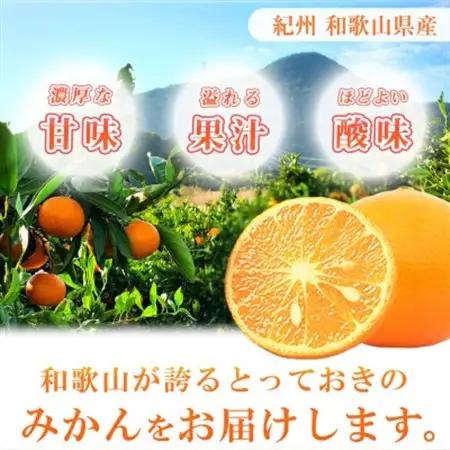 【2027年4月中旬より発送】初夏のみかん　なつみ5kg【日高町】【配送不可地域：離島】【1216978】