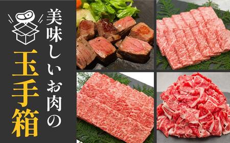 高知から美味しいお肉の玉手箱! 化粧箱入り 総計約840g 牛肉 ステーキ 焼肉 切り落とし 国産 A4 A5 【(有)山重食肉】 [ATAP020]