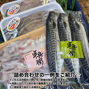 【毎月定期便9回】厳選！小田原の旬の干物セット 松【 まぐろや 神奈川県小田原市 朝食 朝食 朝食 朝食 朝食】