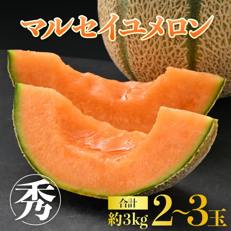 【ふるさと納税】【先行予約】 佐藤農園のマルセイユメロン 約3kg前後《秀品》(2～3玉入）深みのある甘さ とろける濃厚な赤肉！農家直送 有機肥料 低農薬 糖度 ※2025年6月上旬より順次発送予定