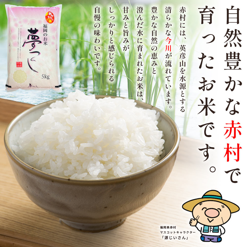 【10営業日以内に発送】赤村産米 農家直送【数量限定】 精米 夢つくし 5kg (品番:4U2-S)