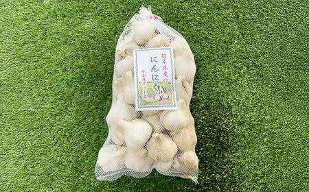 熊本県産 生にんにく 2kg 【2026年11月下旬発送開始】 にんにく ニンニク 生ニンニク 野菜 やさい 熊本県 常温