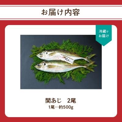 ふるさと納税 大分市 関あじ(鮮魚セット)2尾_E04023 |  | 03