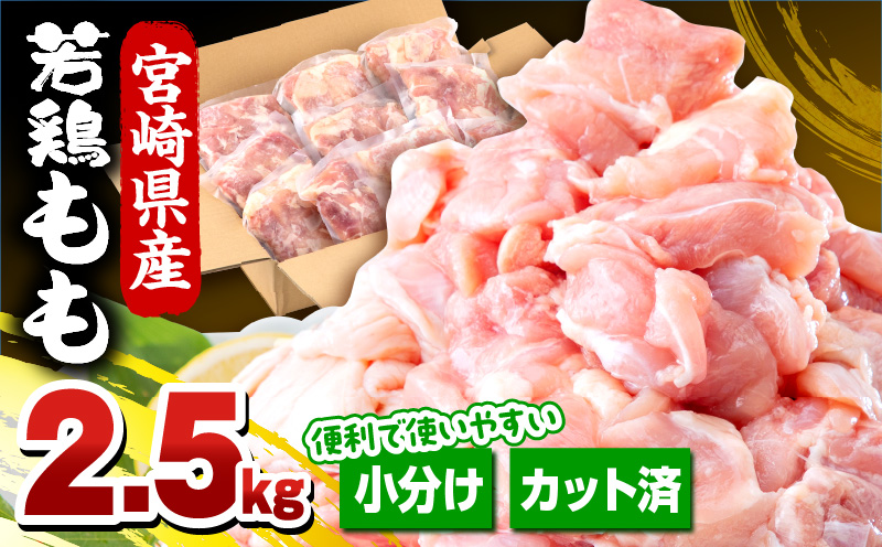 宮崎県産若鶏 もも肉 2.5kg（250g×10パック）_M146-008_01